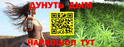 прущие грибы Усть-Илимск