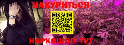 прущие грибы Усть-Илимск